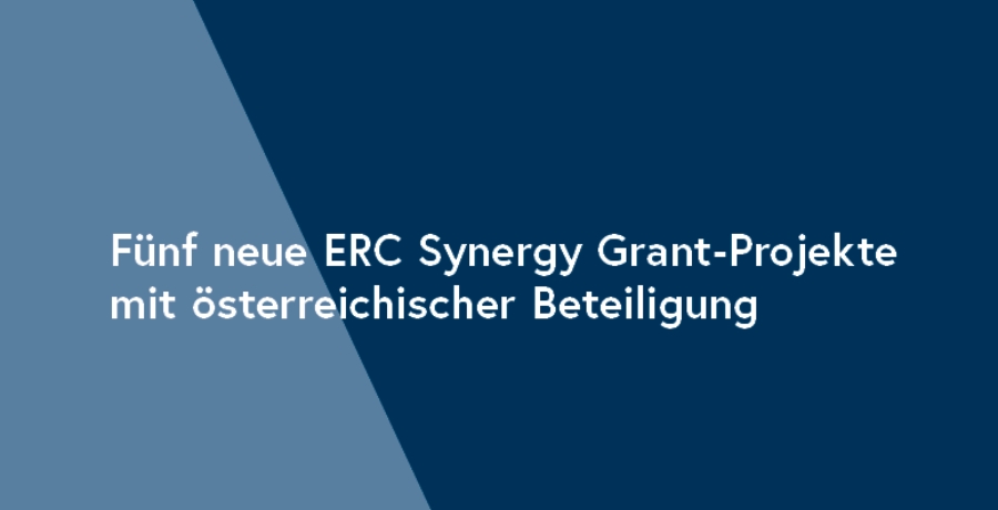 Fünf neue ERC Synergy Grant-Projekte mit österreichischer Beteiligung